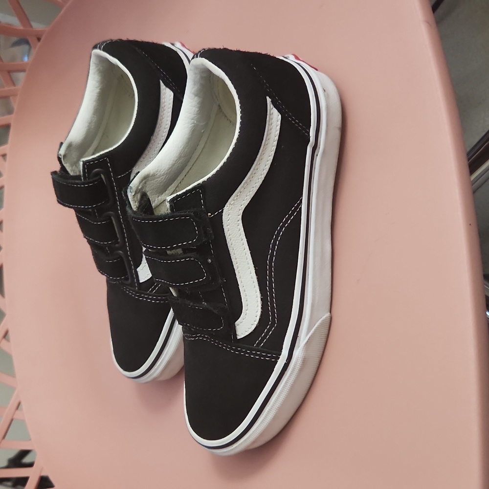Vans Old Skool V Suede Canvas Shoe